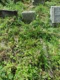 image of grave number 149546